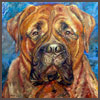 Bigdog
