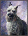 Gus