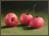 Tomato Trio